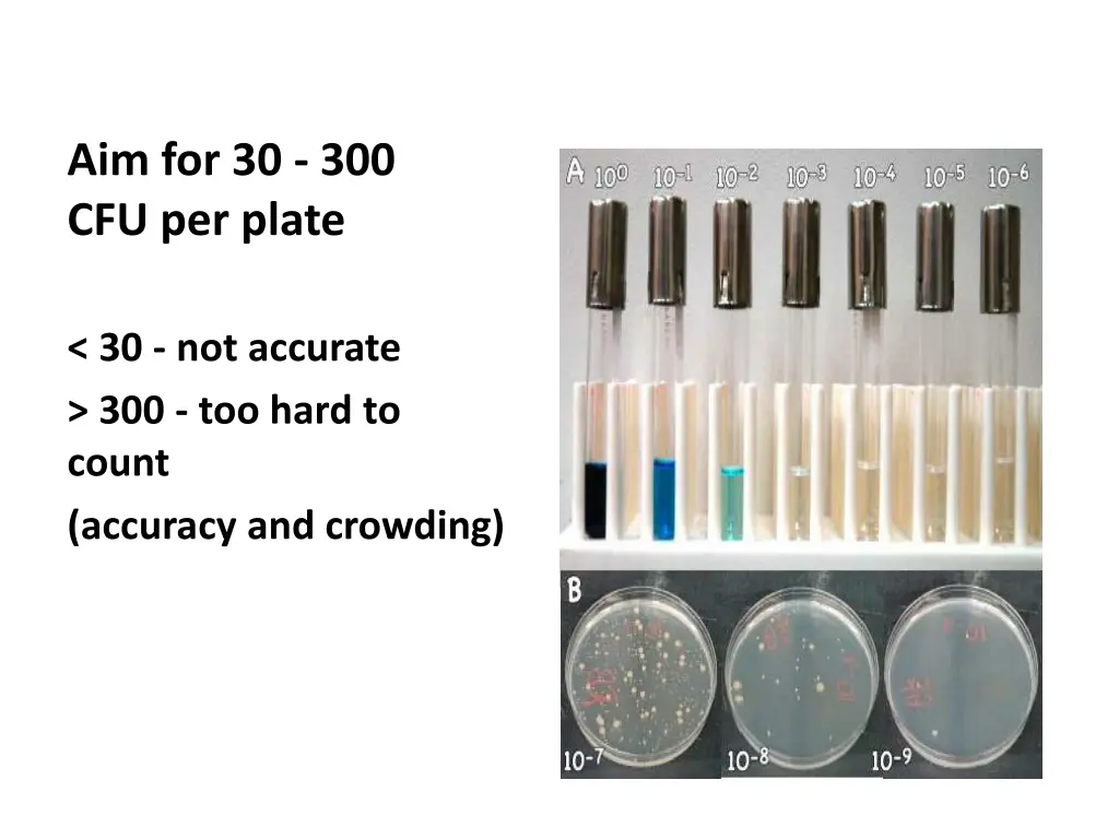 aim for 30 300 cfu per plate