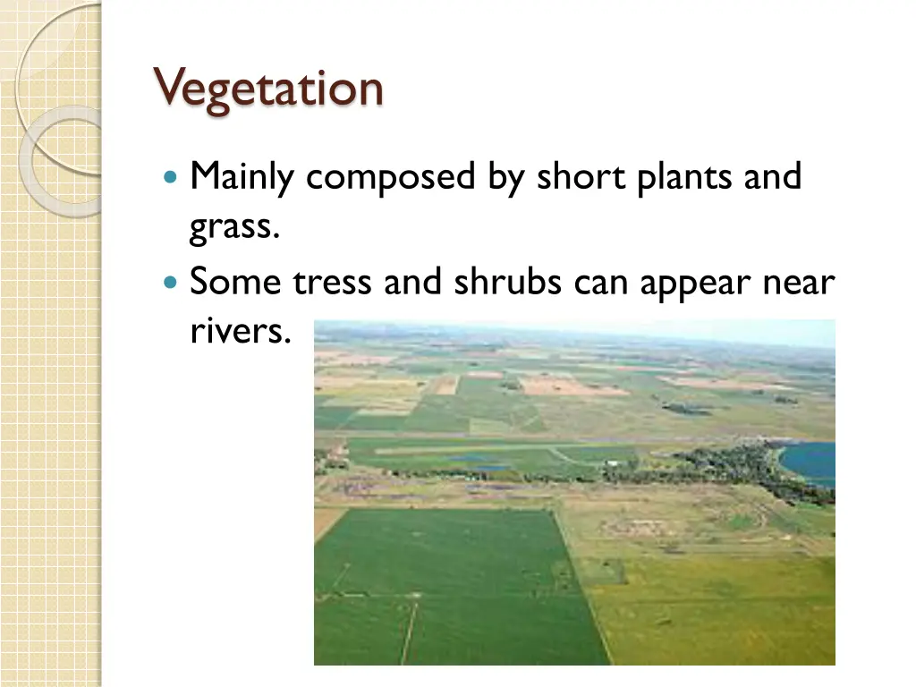 vegetation 1