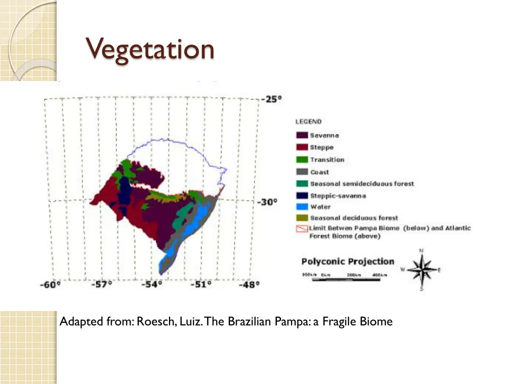 vegetation