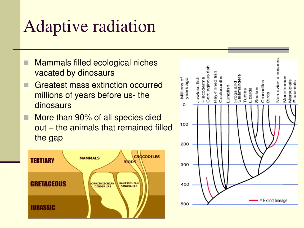 adaptive radiation
