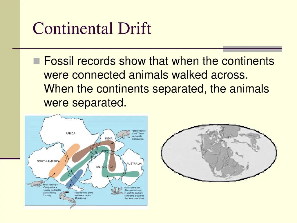 continental drift