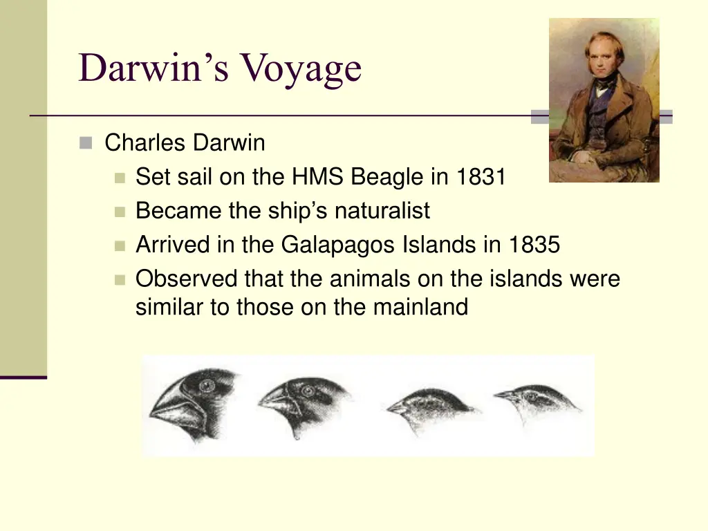 darwin s voyage