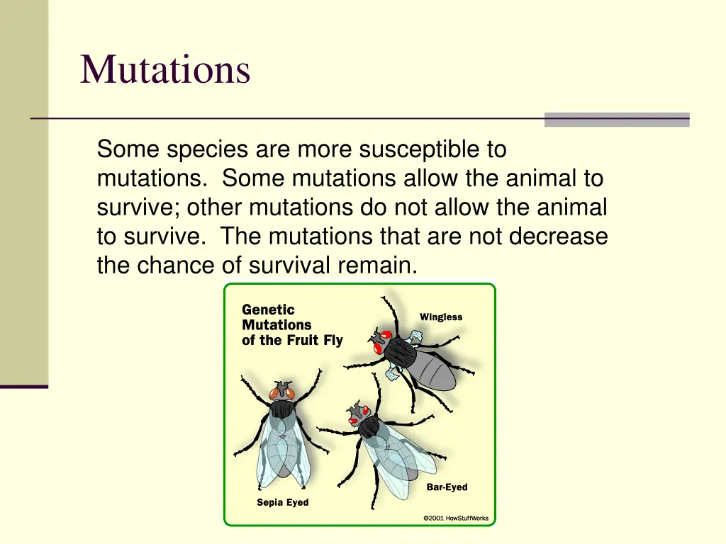 mutations