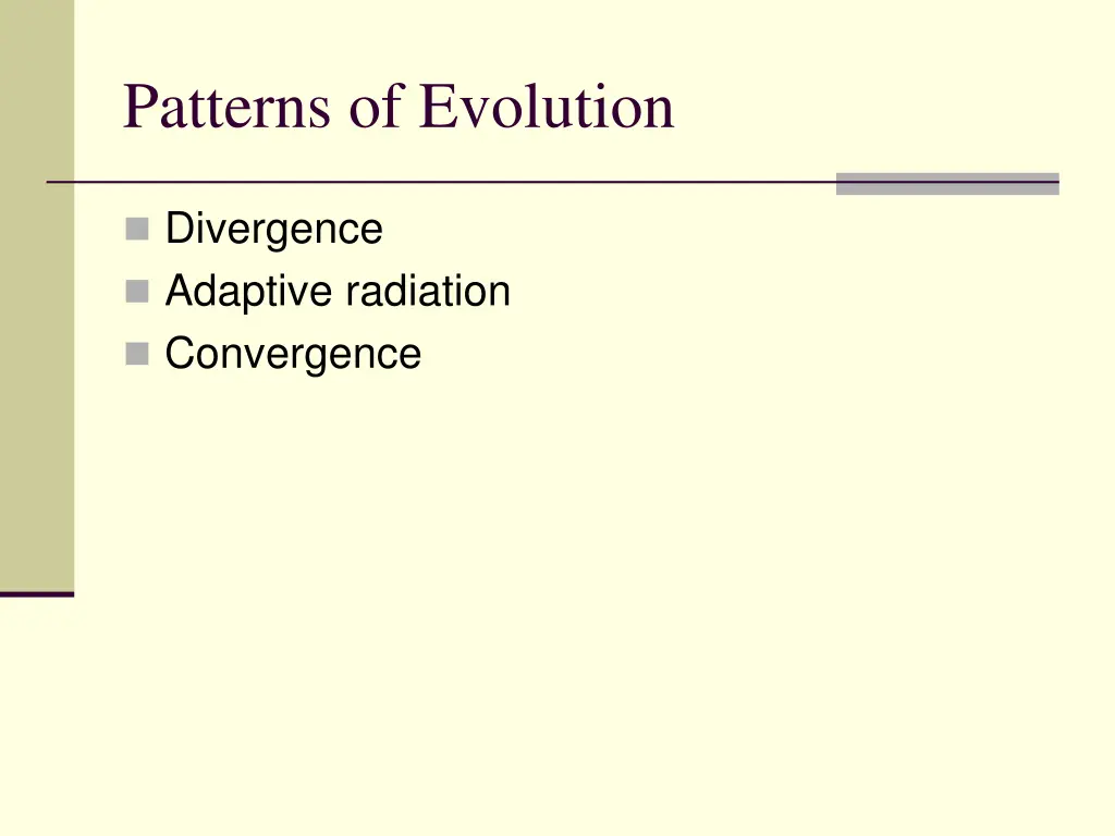 patterns of evolution