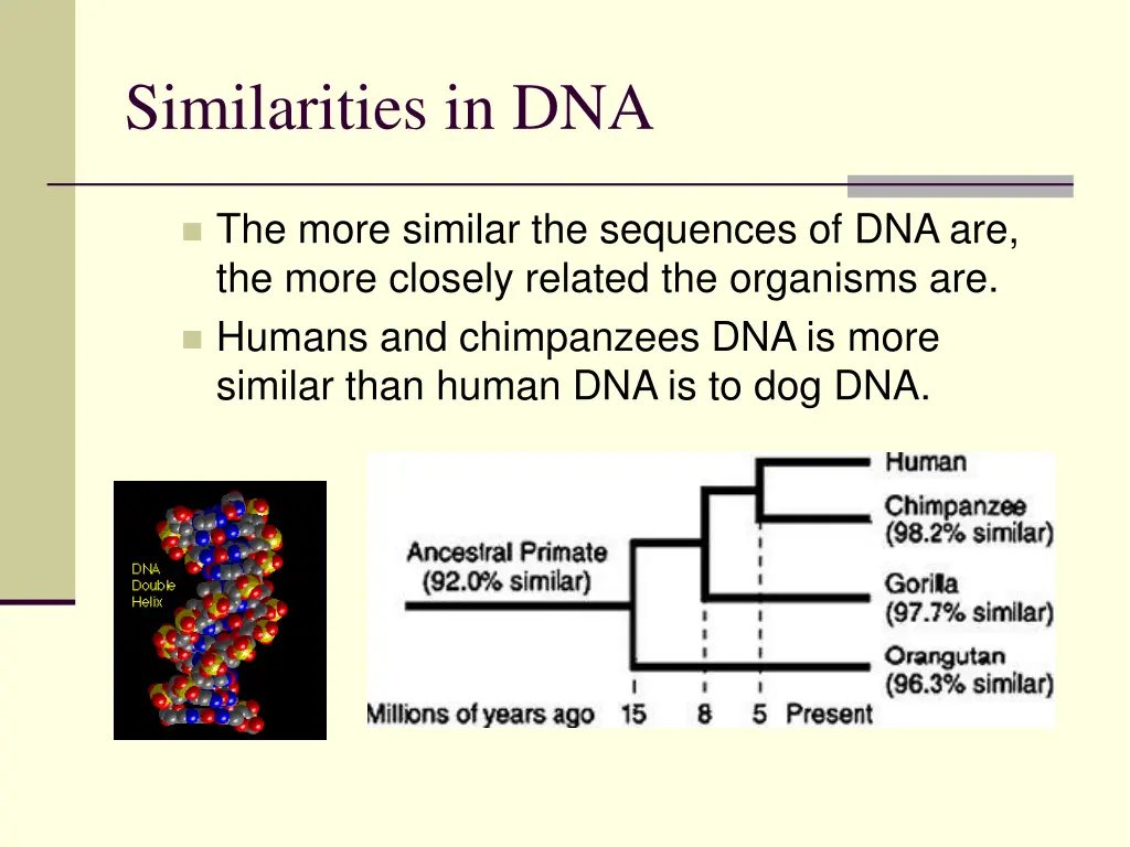 similarities in dna