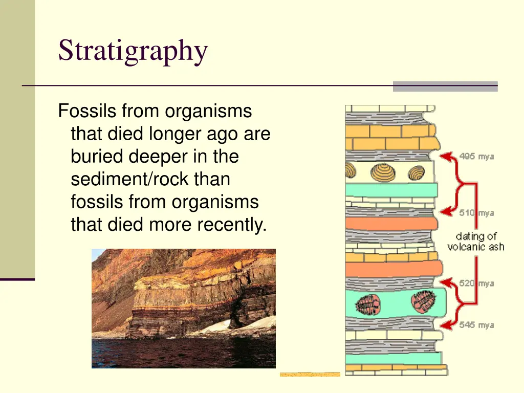 stratigraphy