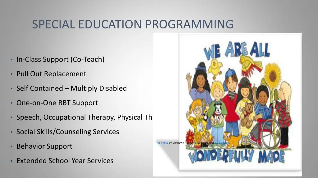 special education programming
