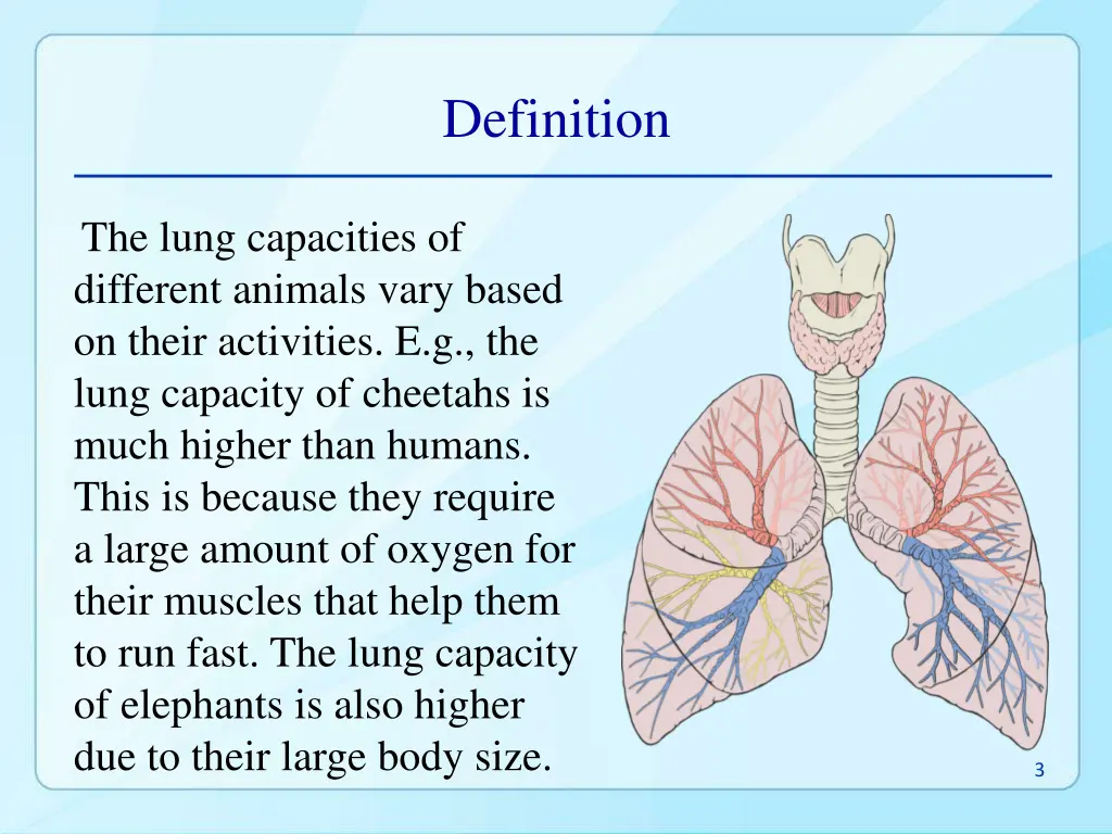 definition