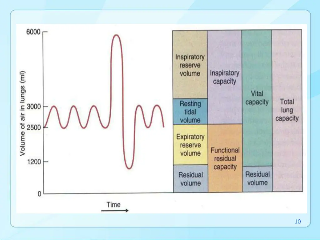 slide10