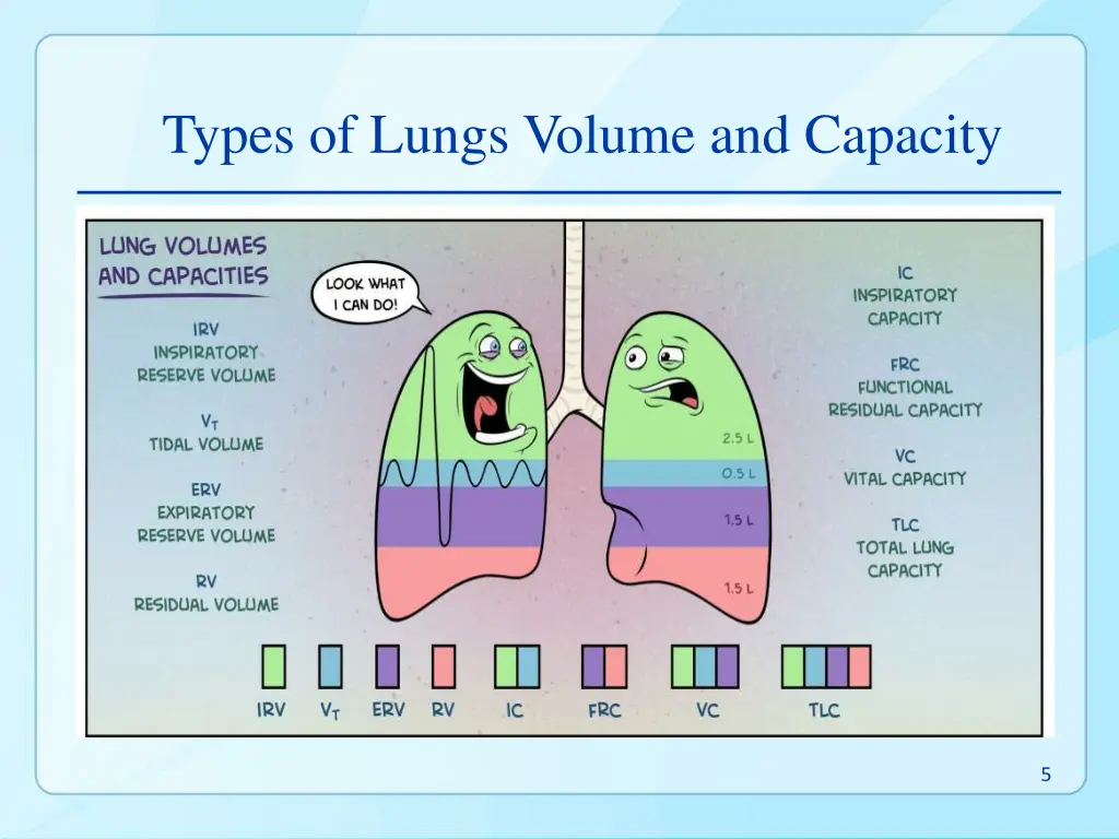 types of lungs volume and capacity