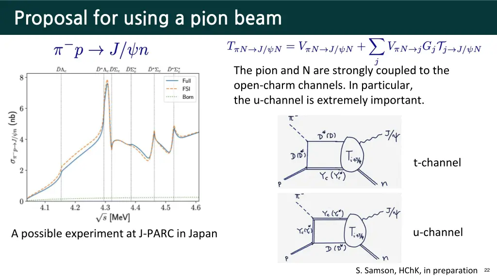proposal for using a pion beam