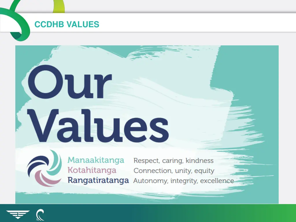 ccdhb values