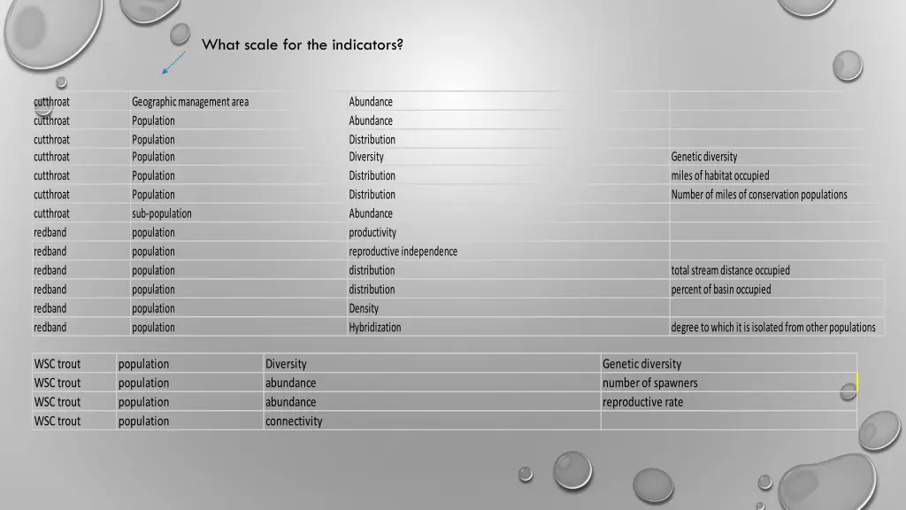 what scale for the indicators