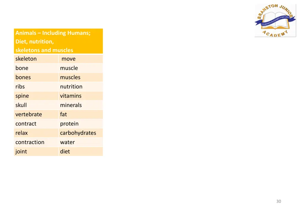 animals including humans diet nutrition skeletons