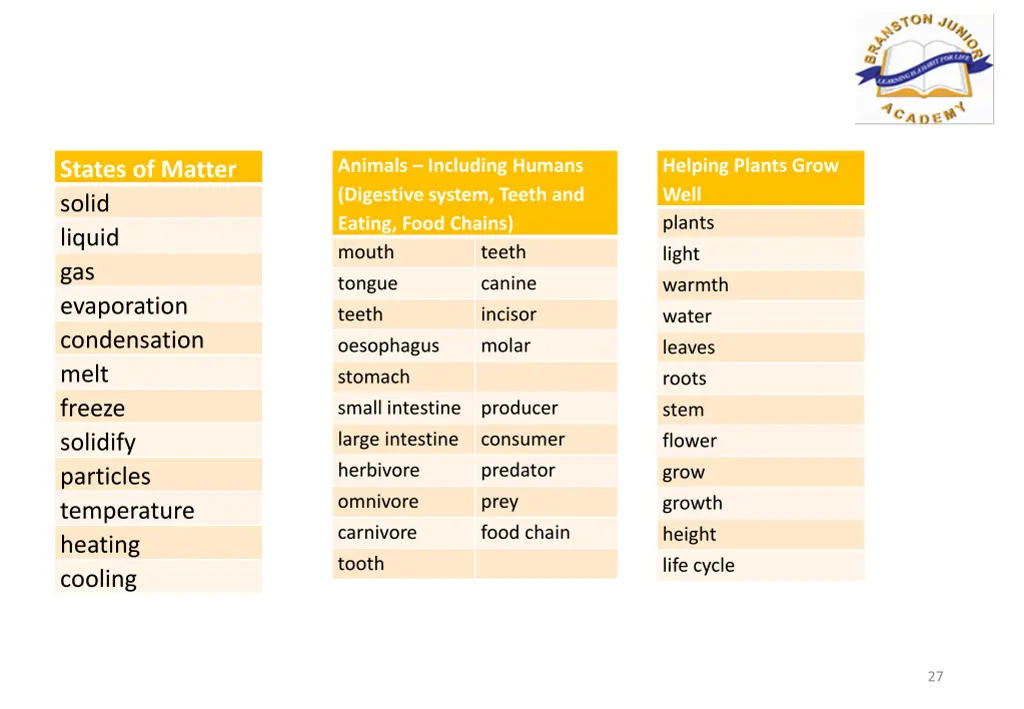 animals including humans digestive system teeth
