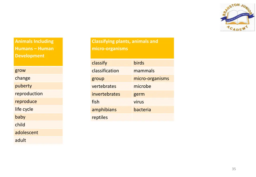 animals including humans human development