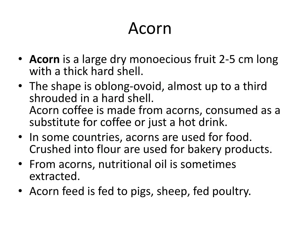 acorn