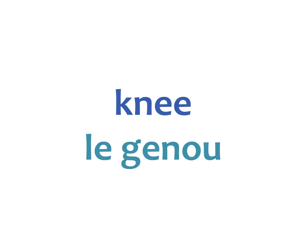 knee le genou