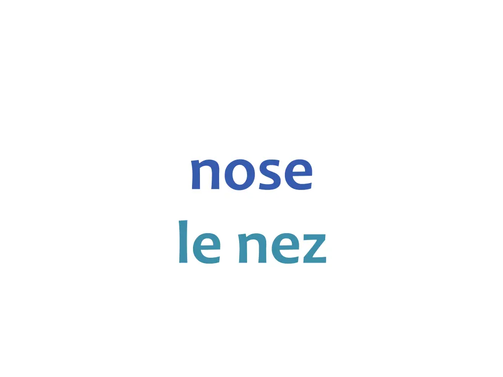 nose le nez