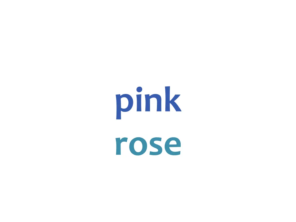 pink rose