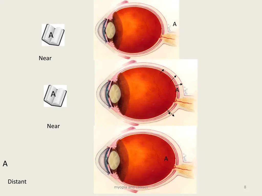slide8