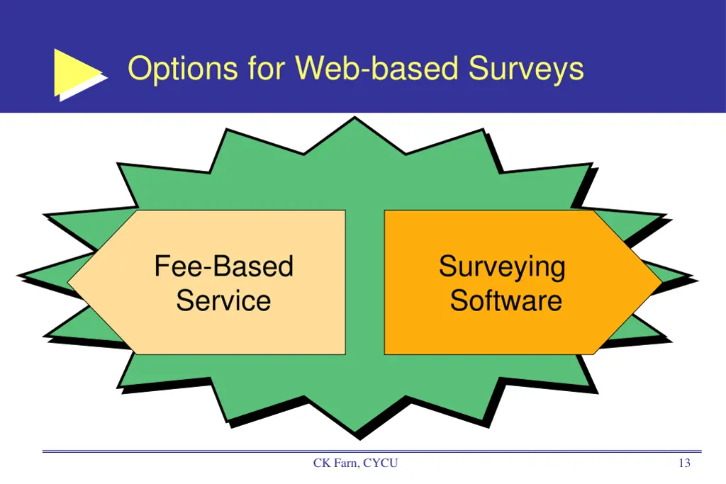 options for web based surveys