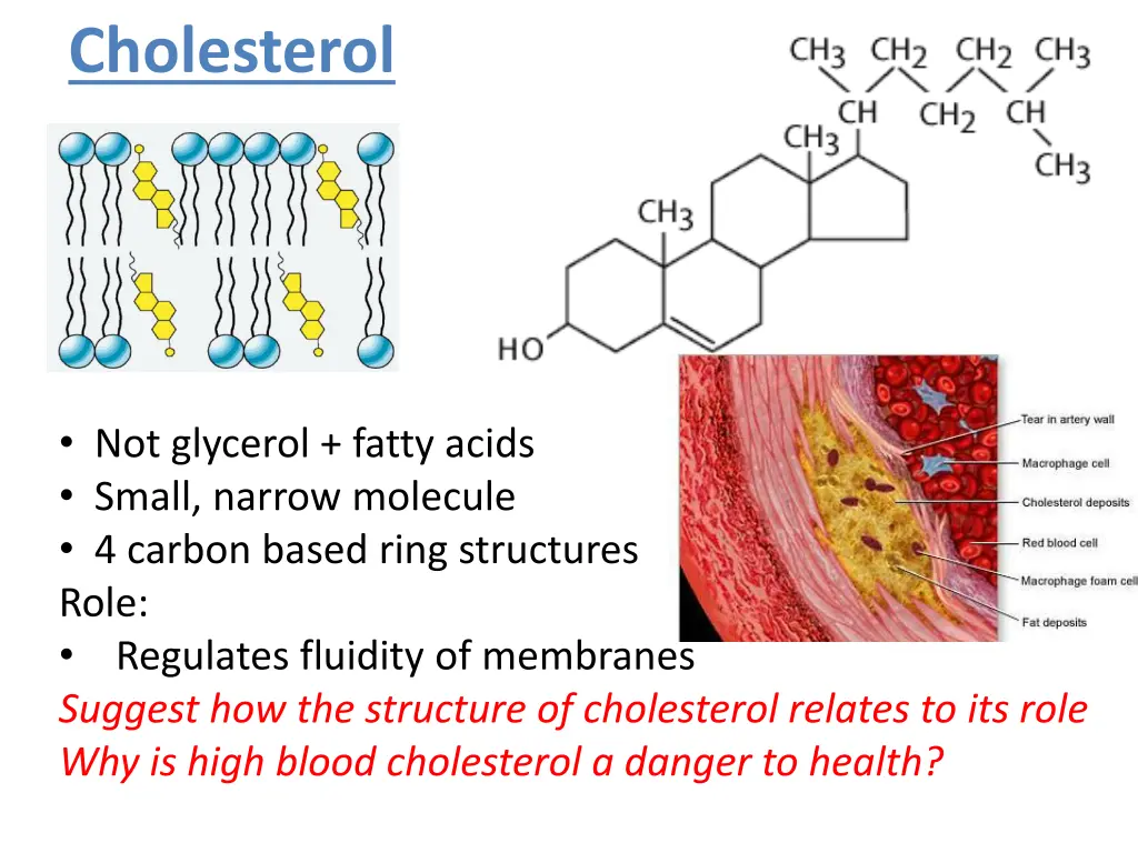 cholesterol