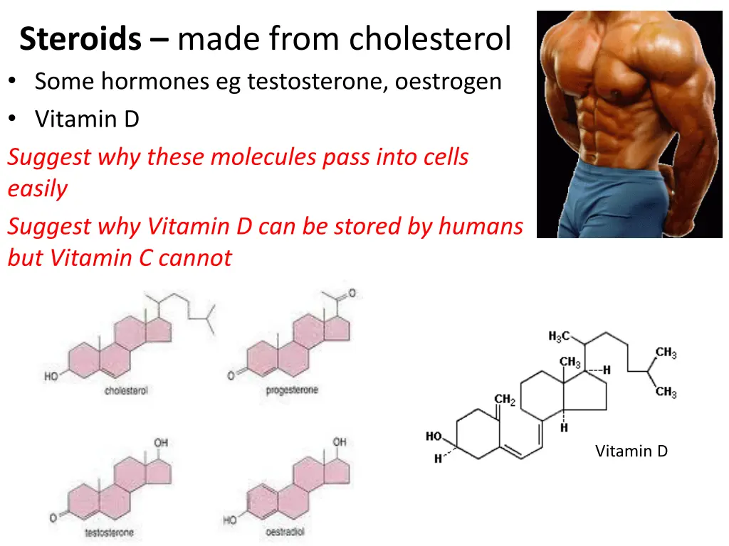 steroids made from cholesterol some hormones