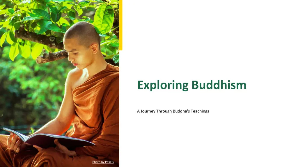 exploring buddhism