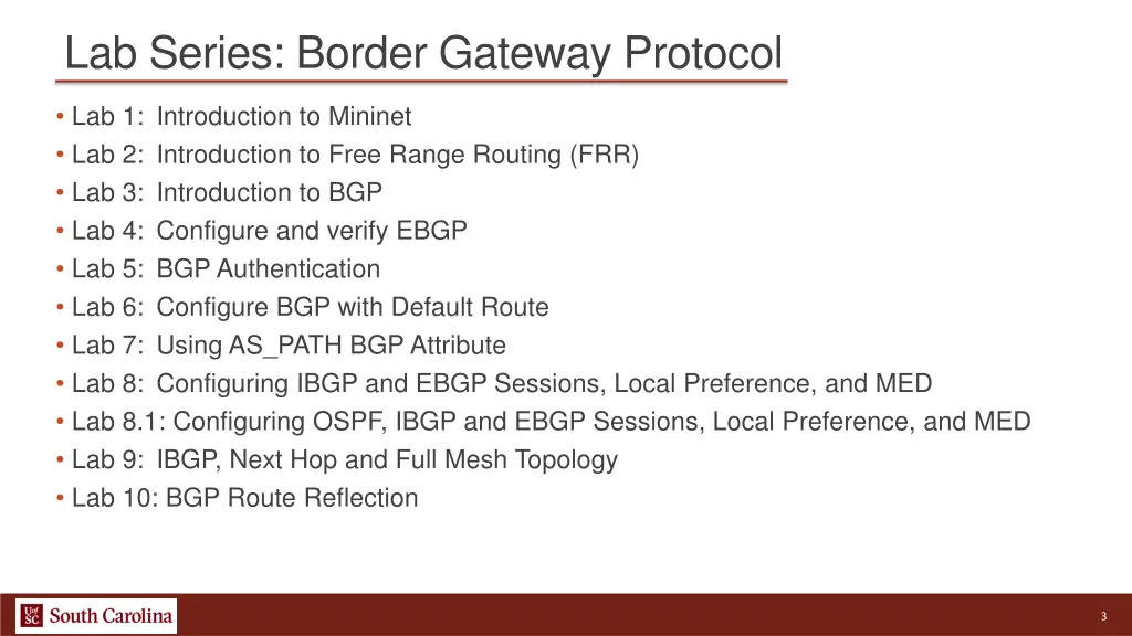lab series border gateway protocol