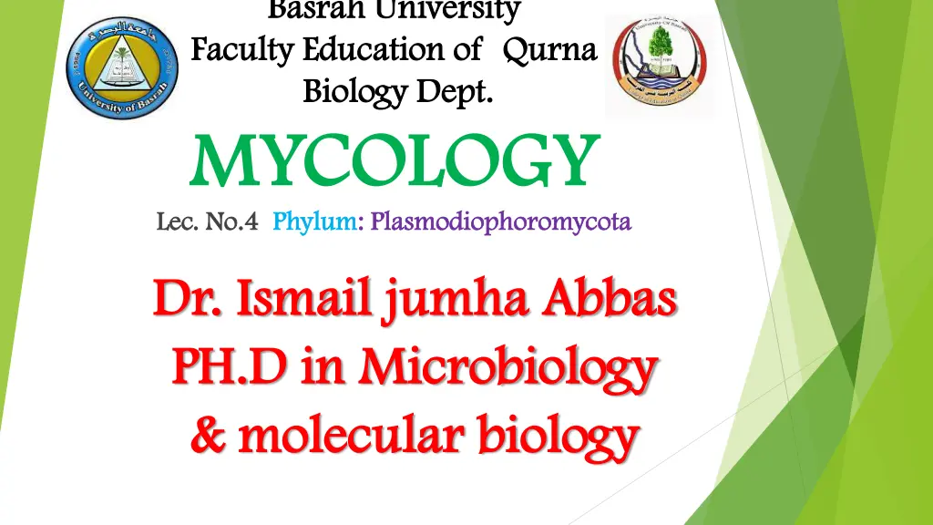 basrah university basrah university faculty