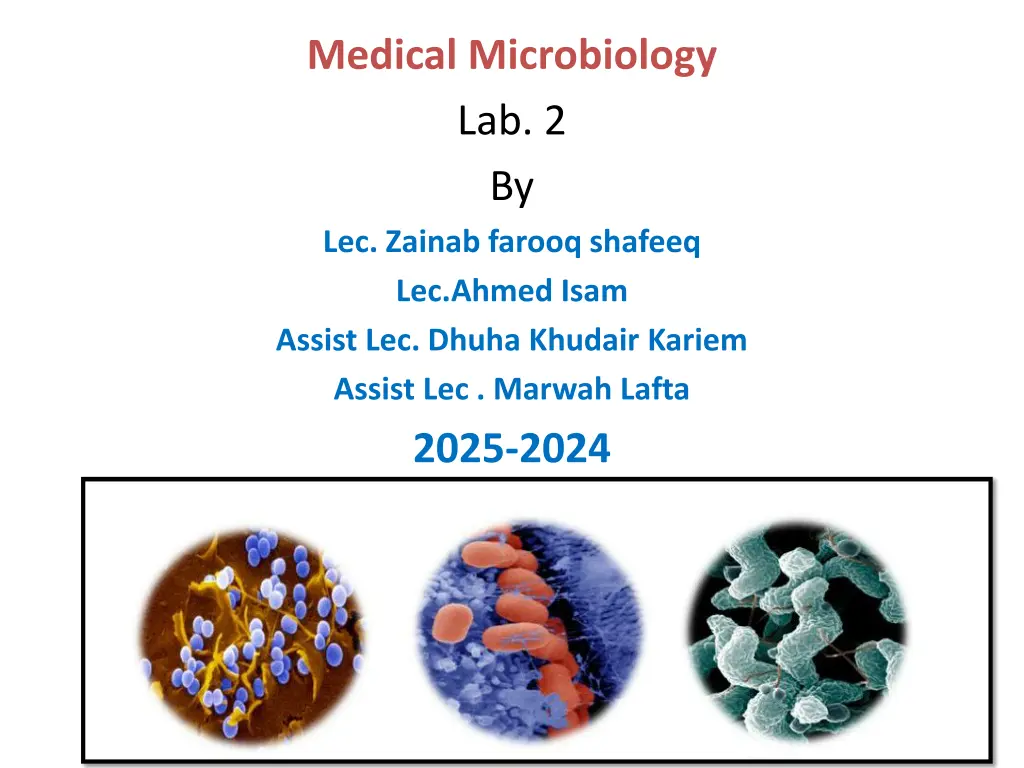 medical microbiology lab 2 by lec zainab farooq