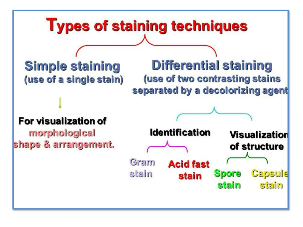 slide10