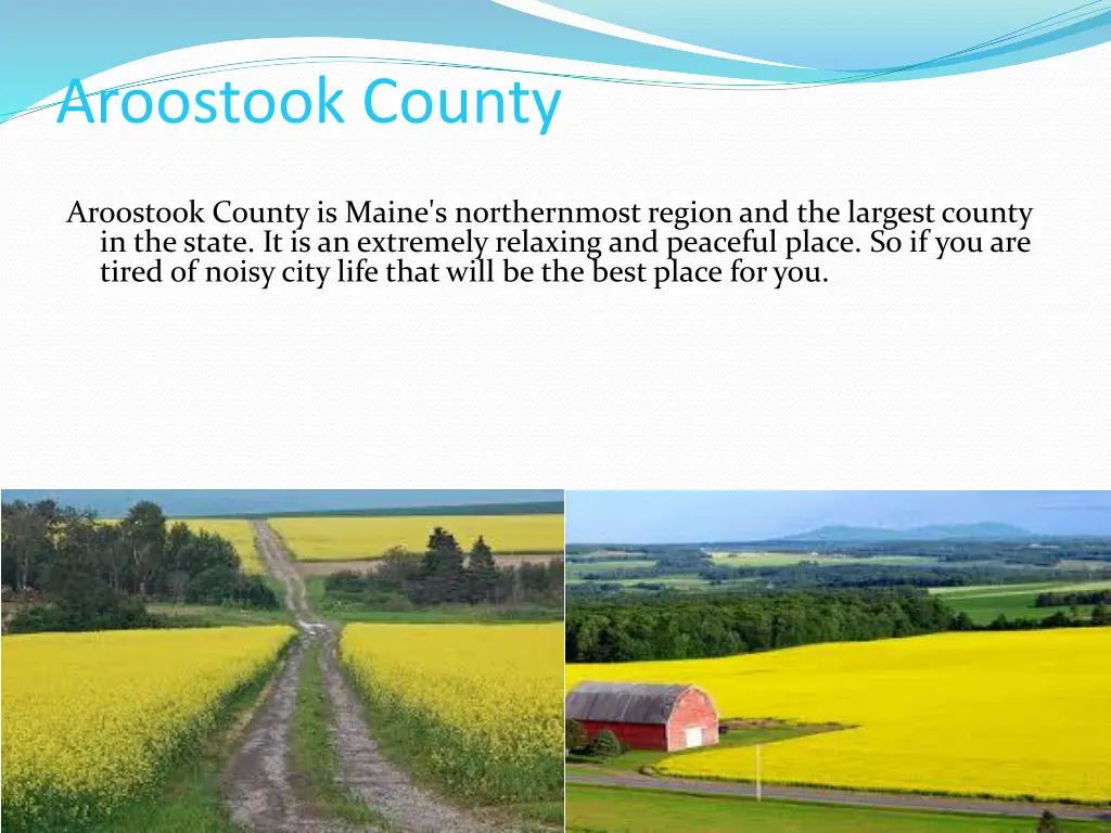 aroostook county