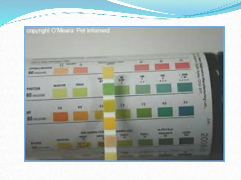 slide10