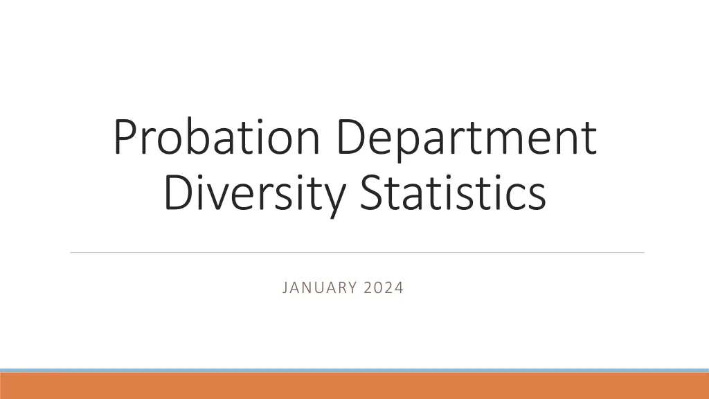 probation department diversity statistics