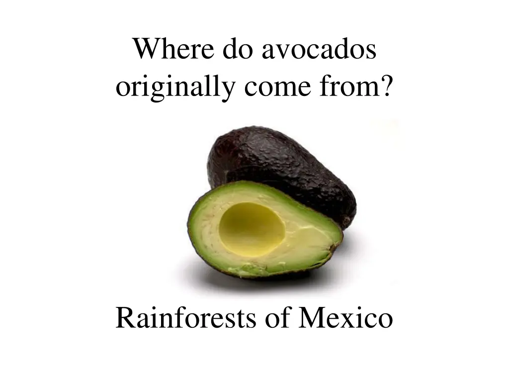 where do avocados originally come from