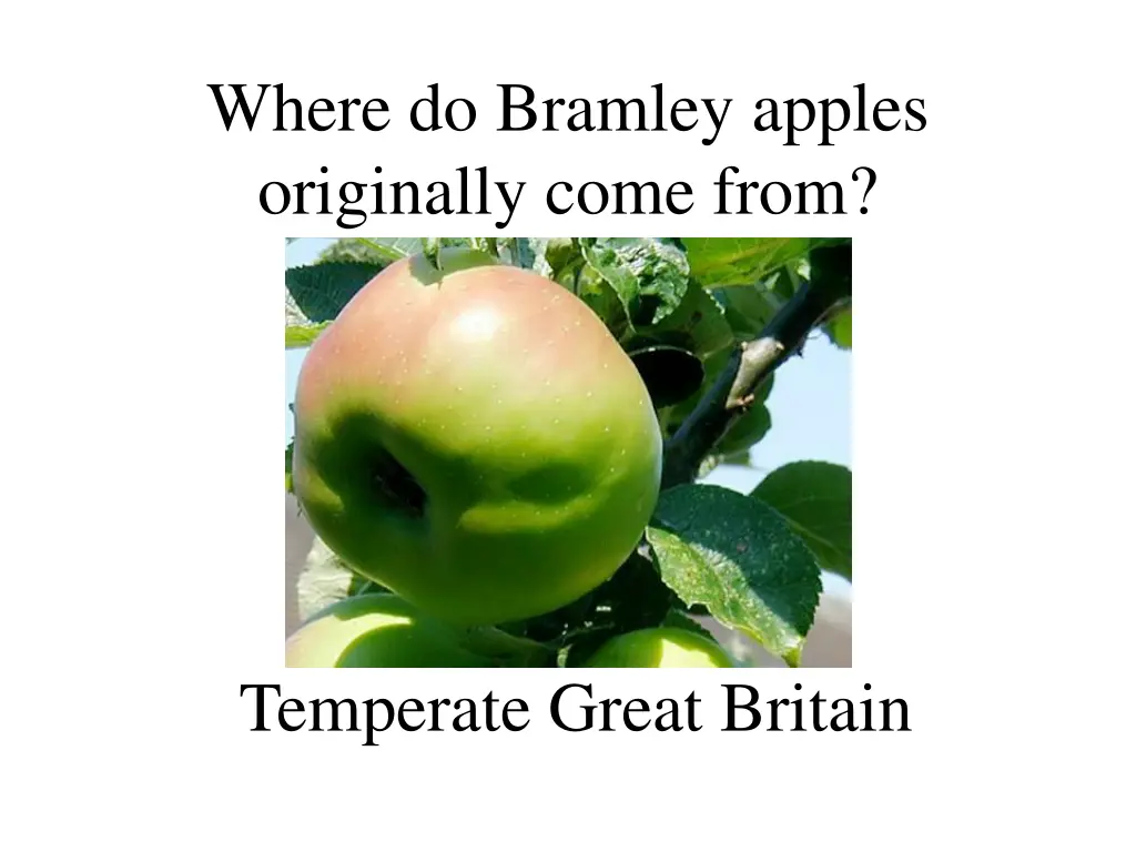 where do bramley apples originally come from