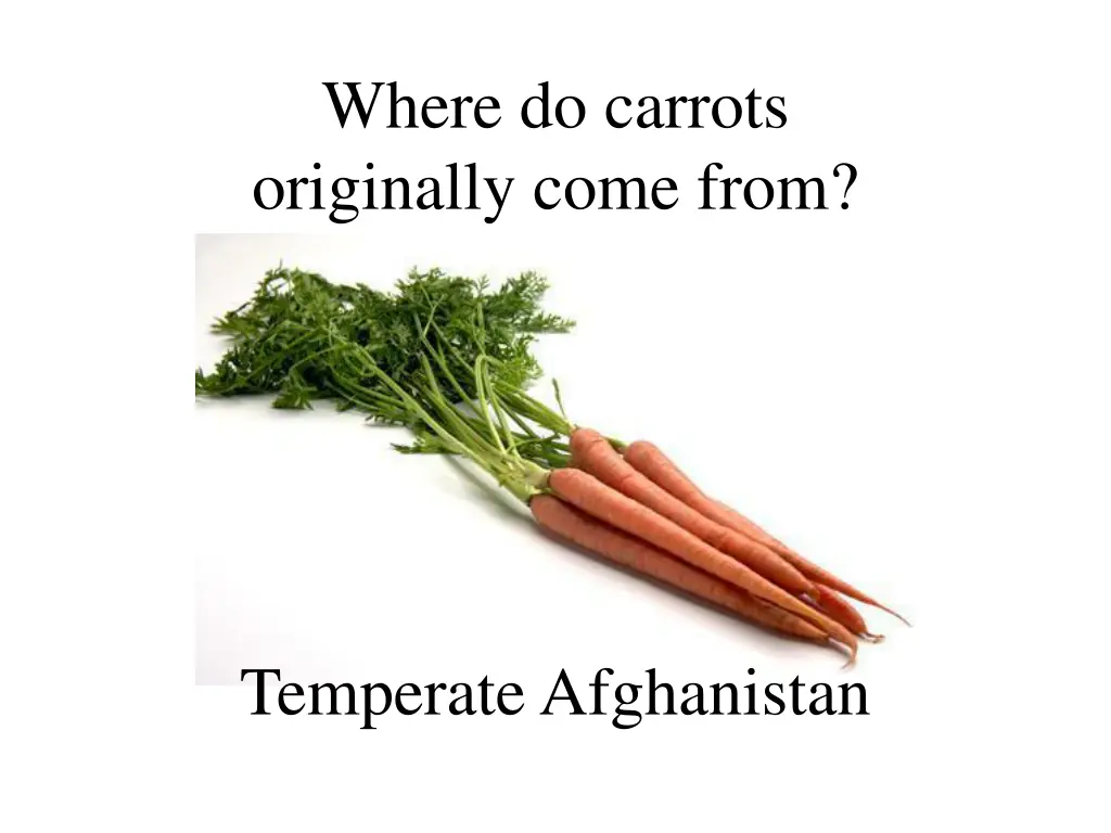 where do carrots originally come from