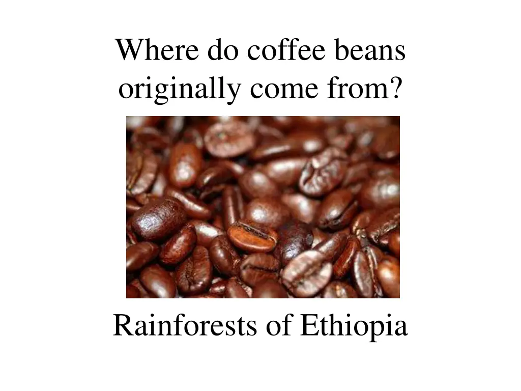 where do coffee beans originally come from