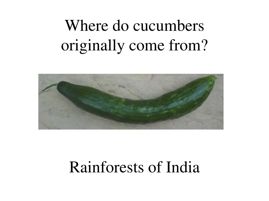 where do cucumbers originally come from
