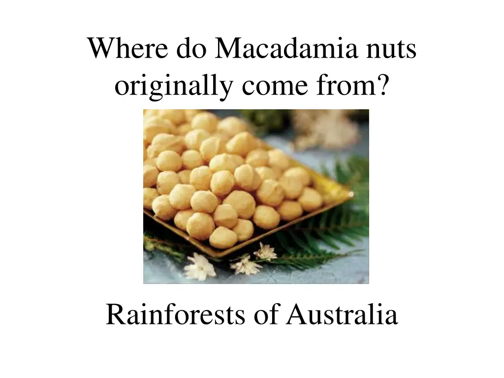 where do macadamia nuts originally come from