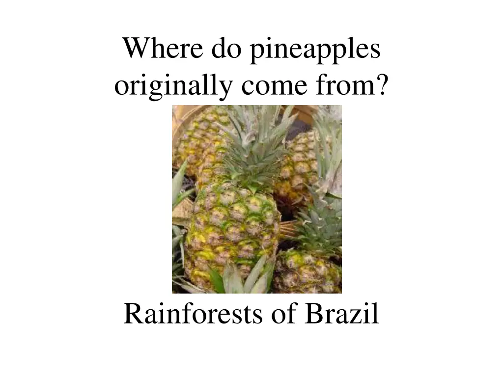 where do pineapples originally come from