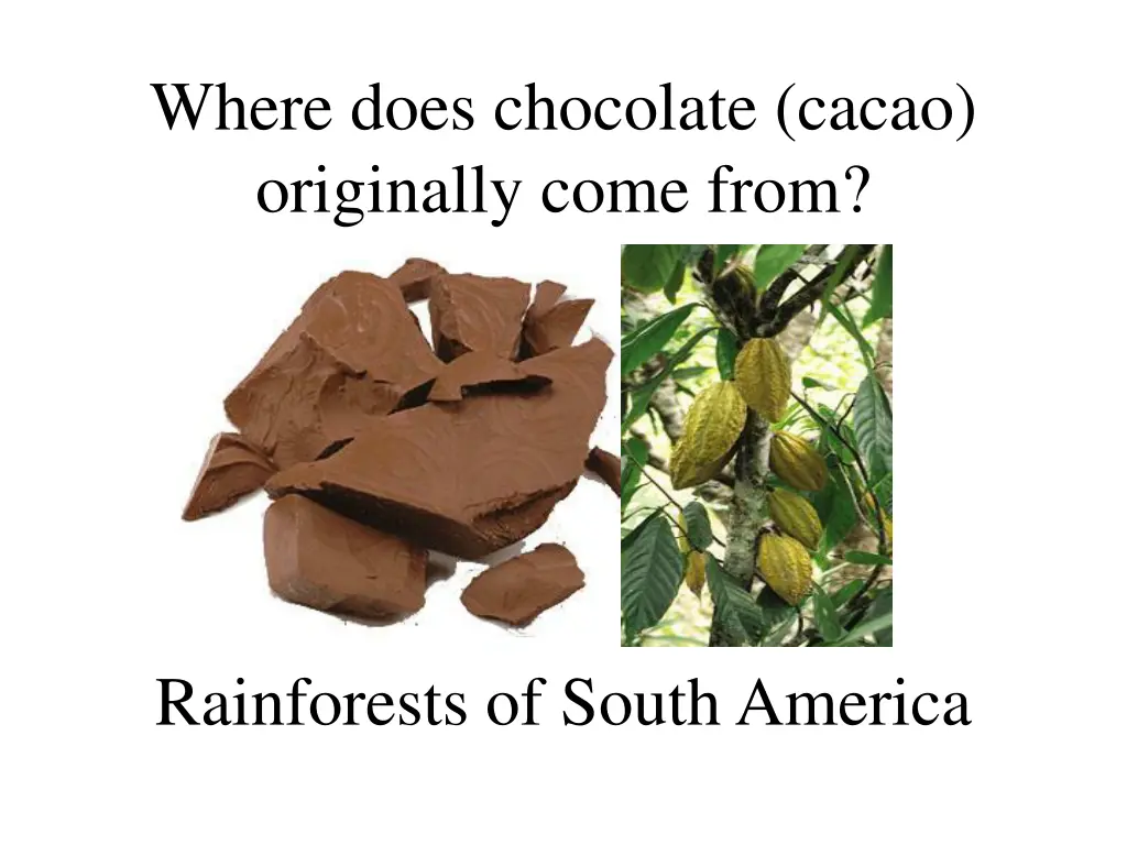 where does chocolate cacao originally come from