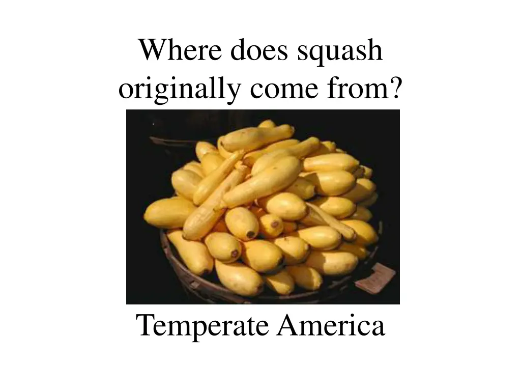 where does squash originally come from