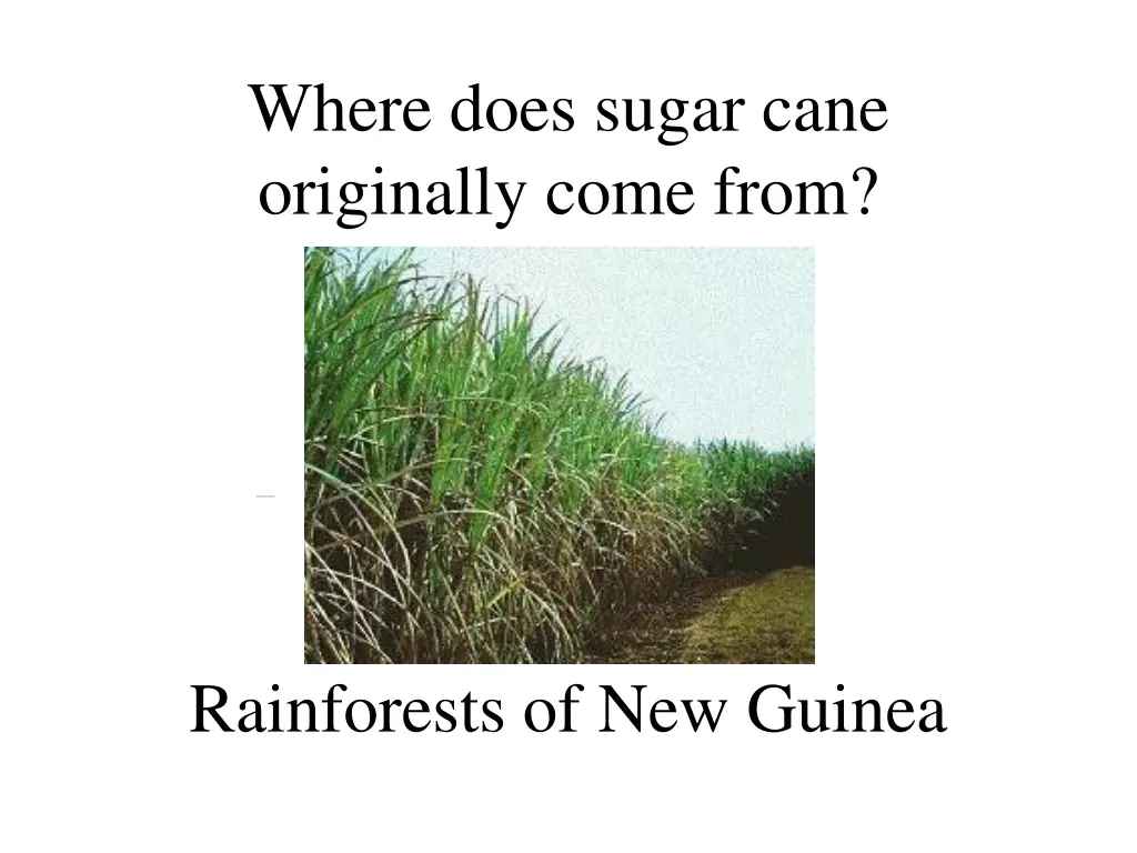 where does sugar cane originally come from