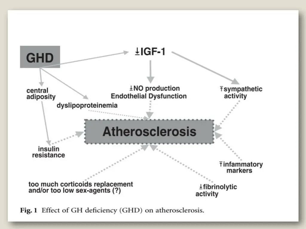 slide14