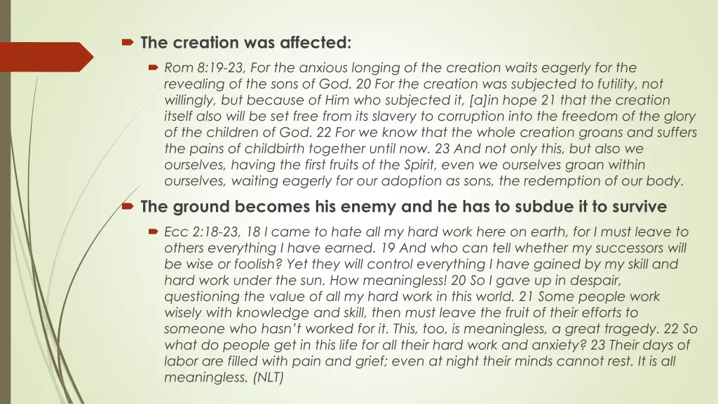 the creation was affected