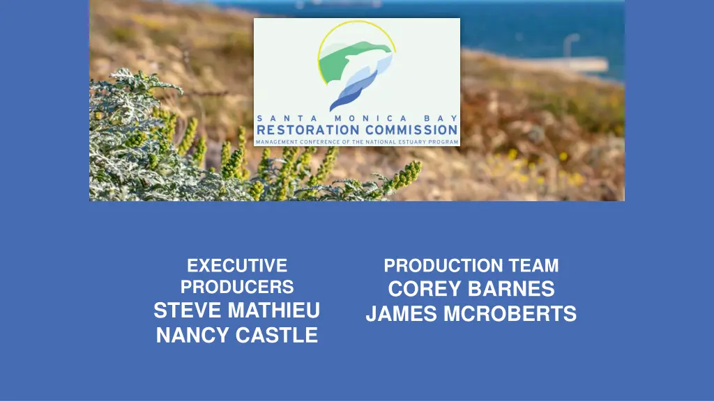 executive producers steve mathieu nancy castle