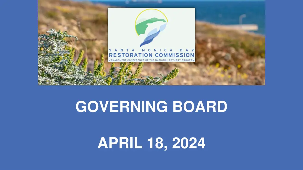 governing board 1
